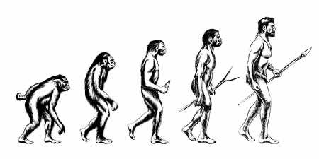 evolution-weight-loss