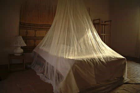 Malaria net, prevention