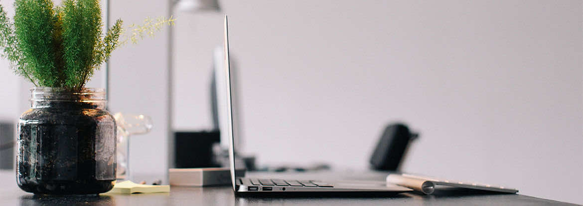 laptop on desk with plant | London Doctors Clinic