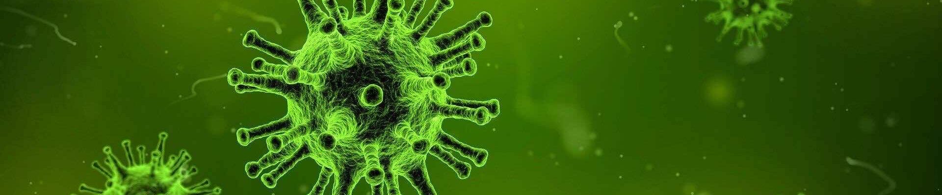 private-pcr-covid-test