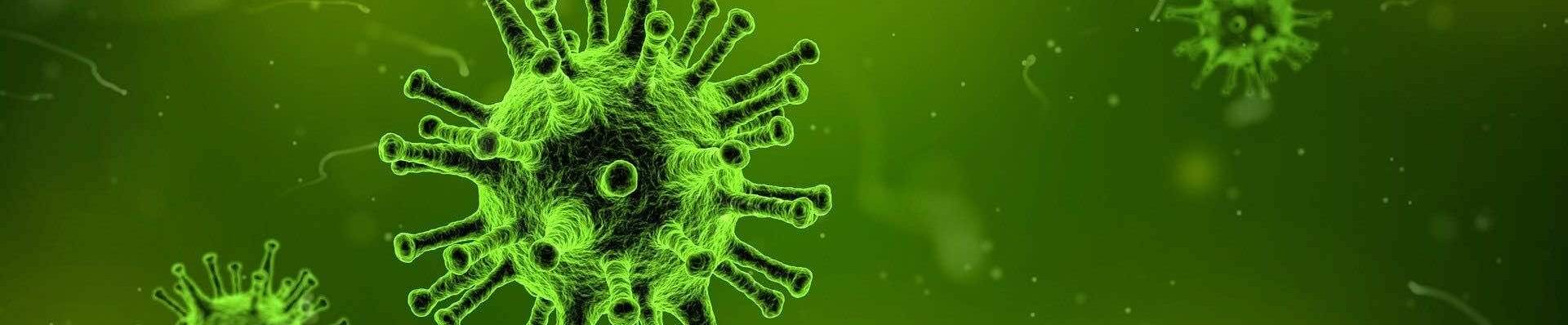 day-2-and-8-test-cheapest